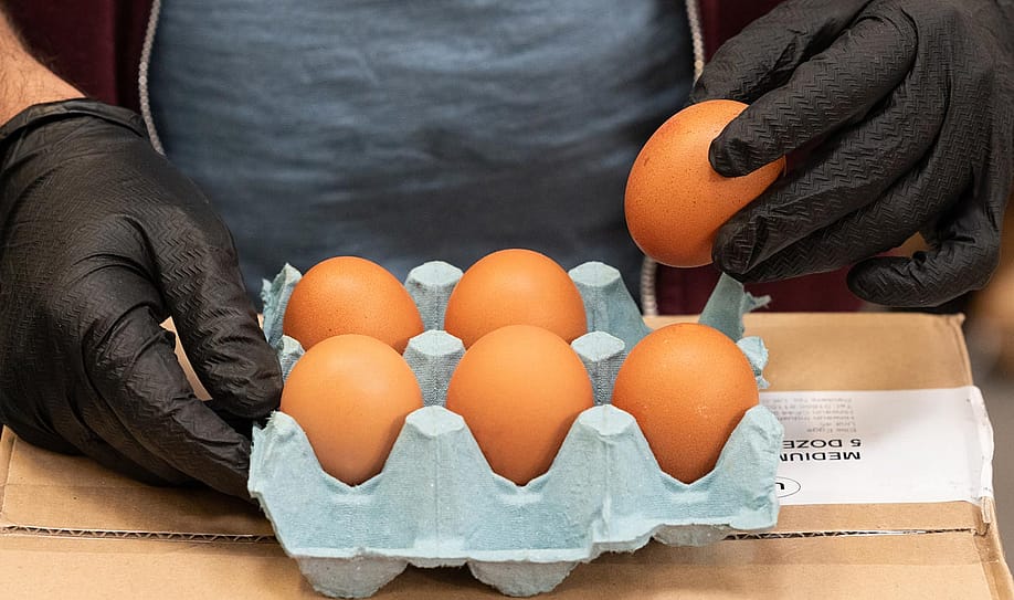 Gloved hands inspecting a half dozen eggs — Matthew Horwood // Getty Images