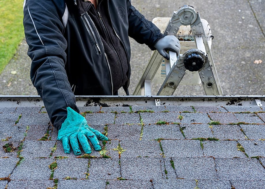 Man on top of a ladder cleaning moss and dirt from a building roof. — Andrea C. Miller // Shutterstock