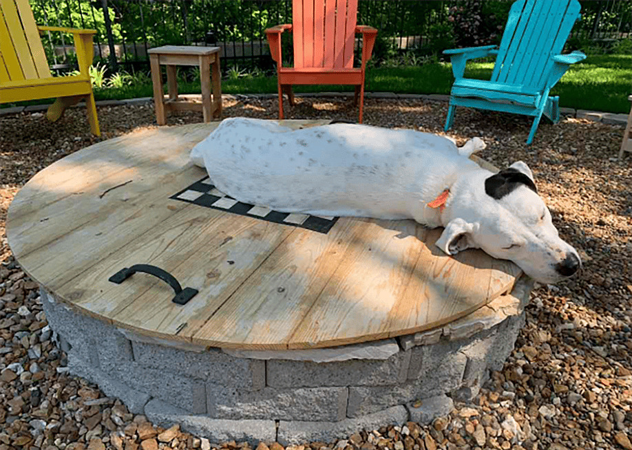 A white dog with gray spots and a black patch on ear snoozes on the wooden lid of a backyard fire pit and checkerboard surrounded by colorful Adirondack chairs. — Craig Herman // Lawn Love
