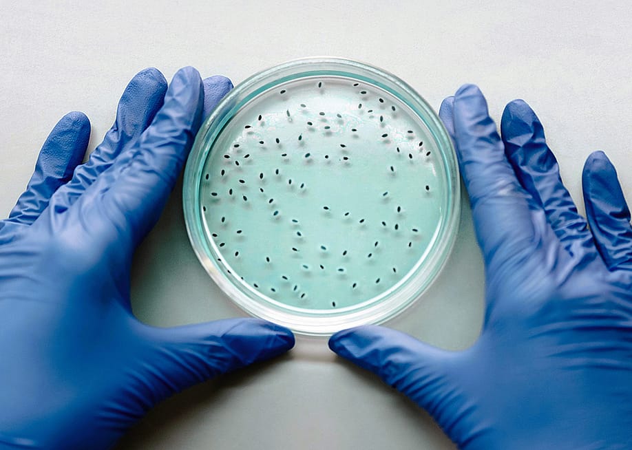 A person's hands holding a petri dish with blue liquid and black test substance. — Natasha Kamal // Shutterstock