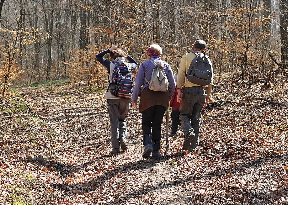 A family of young and senior adults hiking a forest. — xlibes // Shutterstock