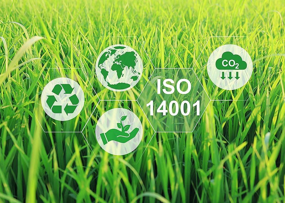 A conceptual graphic of ISO 14001 or an environmental management software. — Aree_S // Shutterstock