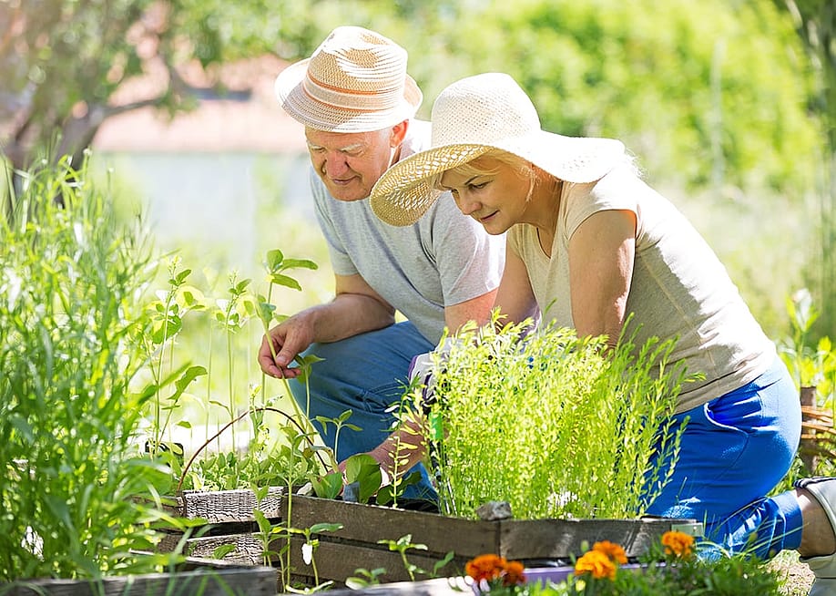A senior couple happily spending their time outside and gardening at home. — pikselstock // Shutterstock