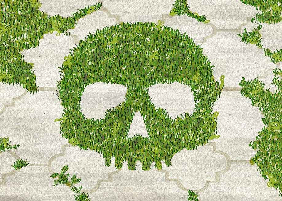 A custom illustration of a human skull formed out of green grass. — Paul Dolan // HomeServe