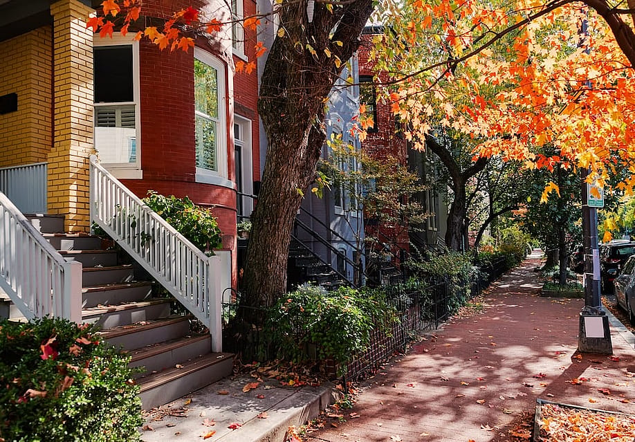 A residential neighborhood's sidewalk during fall season in Washington, DC. — Kosoff // Shutterstock