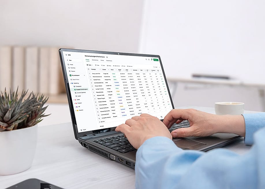 A person reviewing a spreadsheet for expenses reporting before an automation upgrade on a laptop. — RSplaneta // Shutterstock