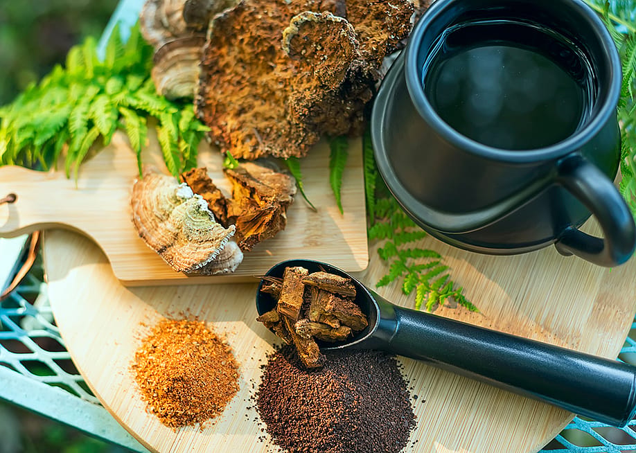 Cups and bowls showing coffee made from mushrooms. — Ann Stryzhekin // Shutterstock