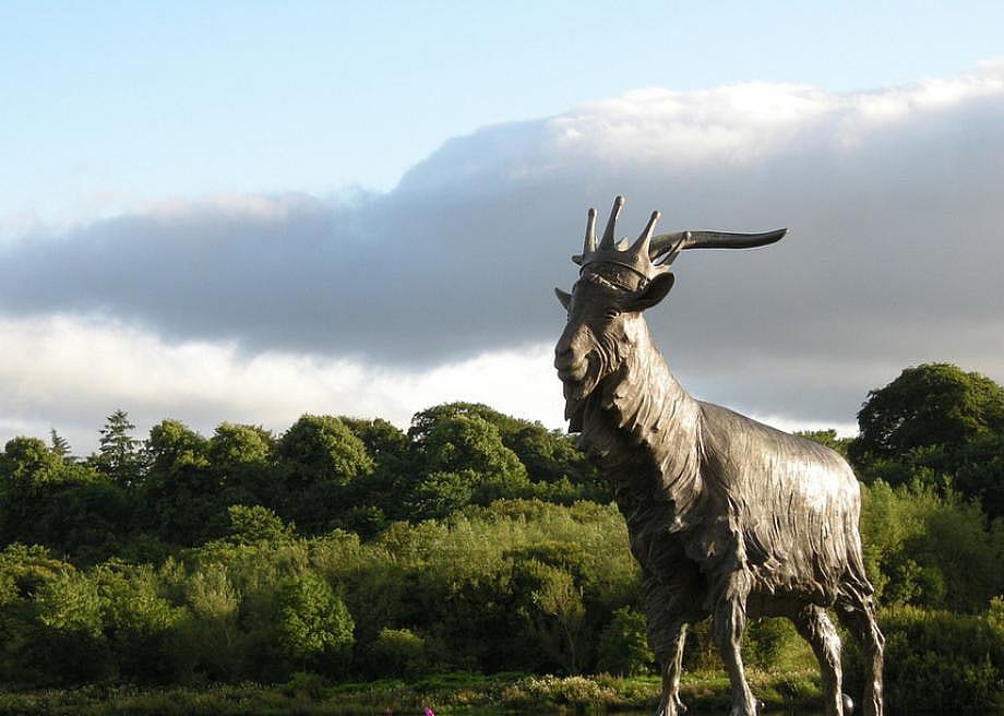 Puck Fair (Ireland)