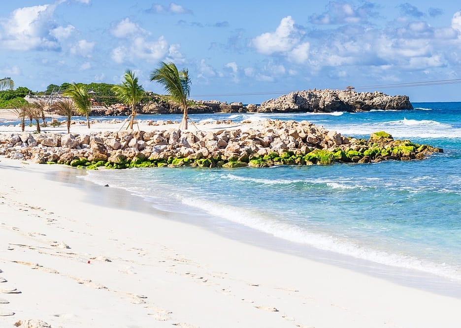 #2. Haitian