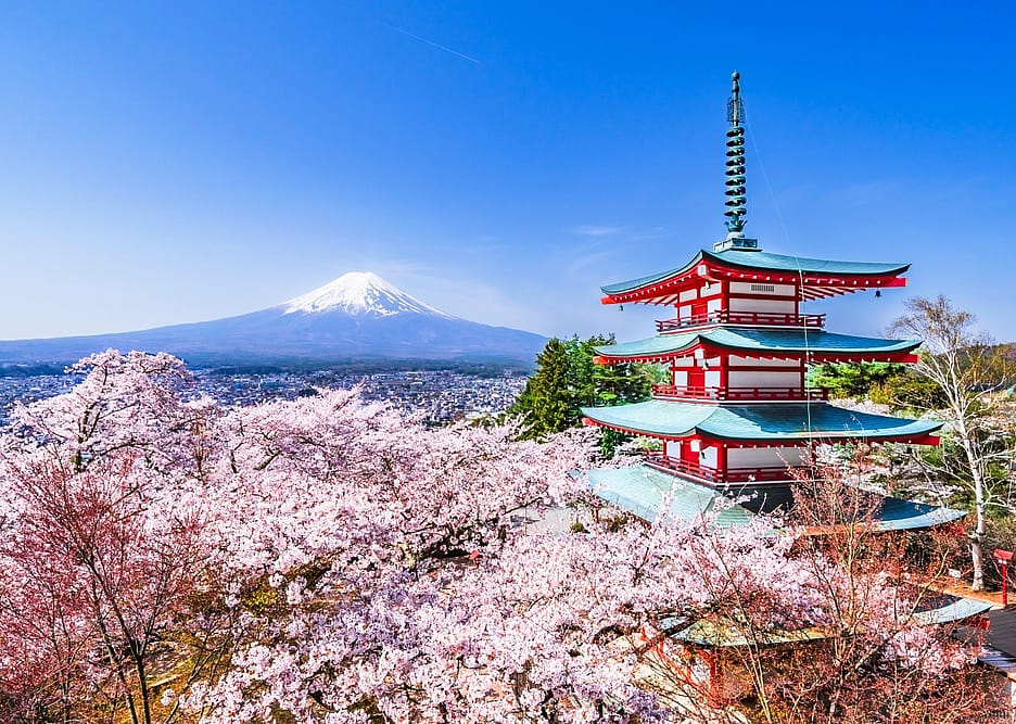 #10. Japanese