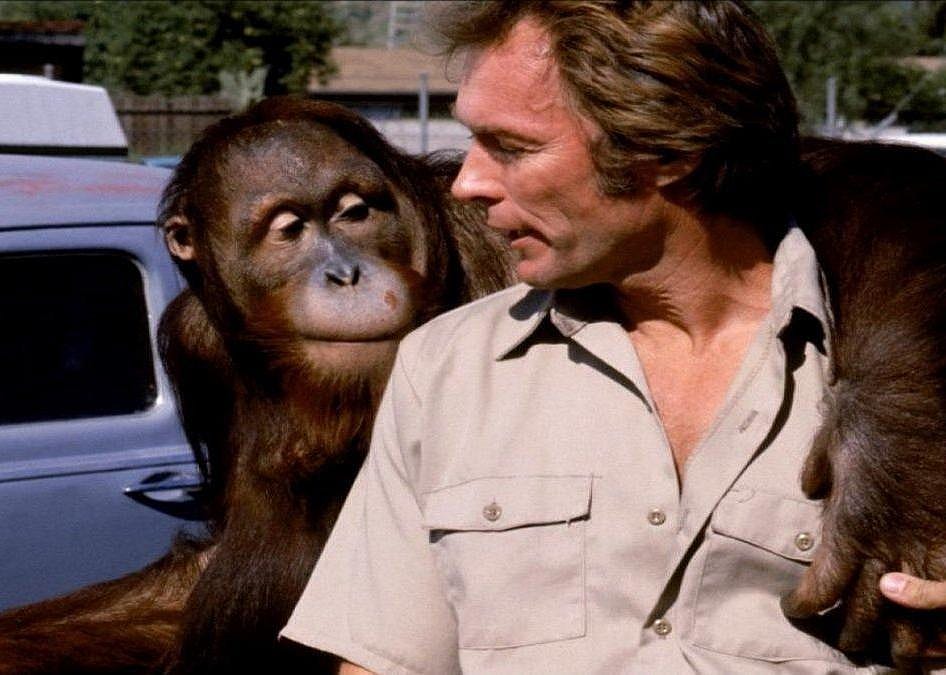 #55. Every Which Way But Loose (1978)