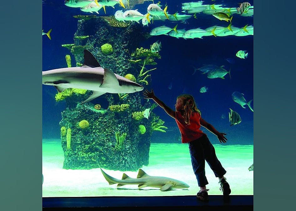 #27. Newport Aquarium