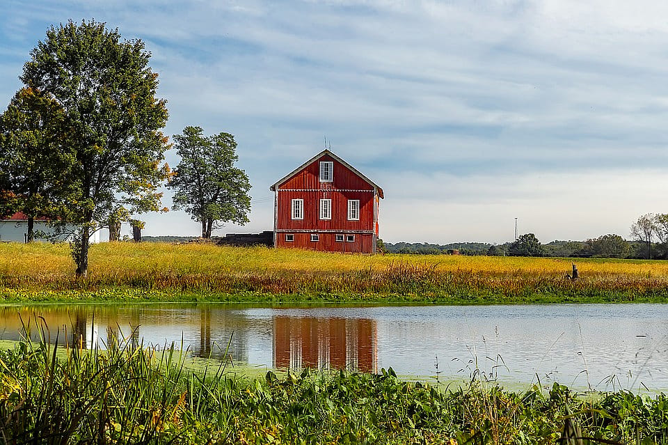 #29. Ohio