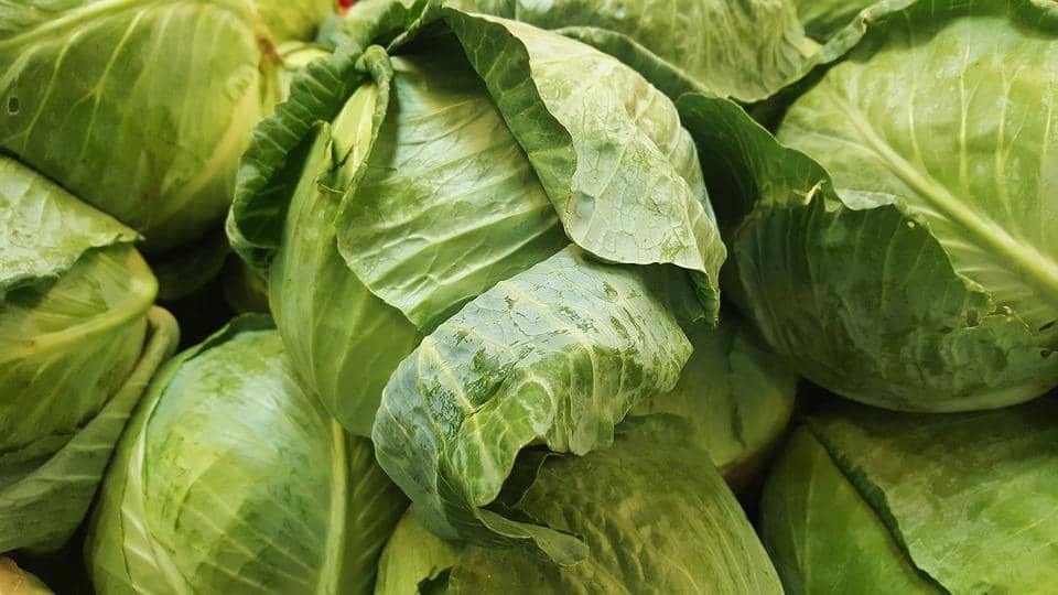 65: Pounds of cabbage people ate yearly during the famine