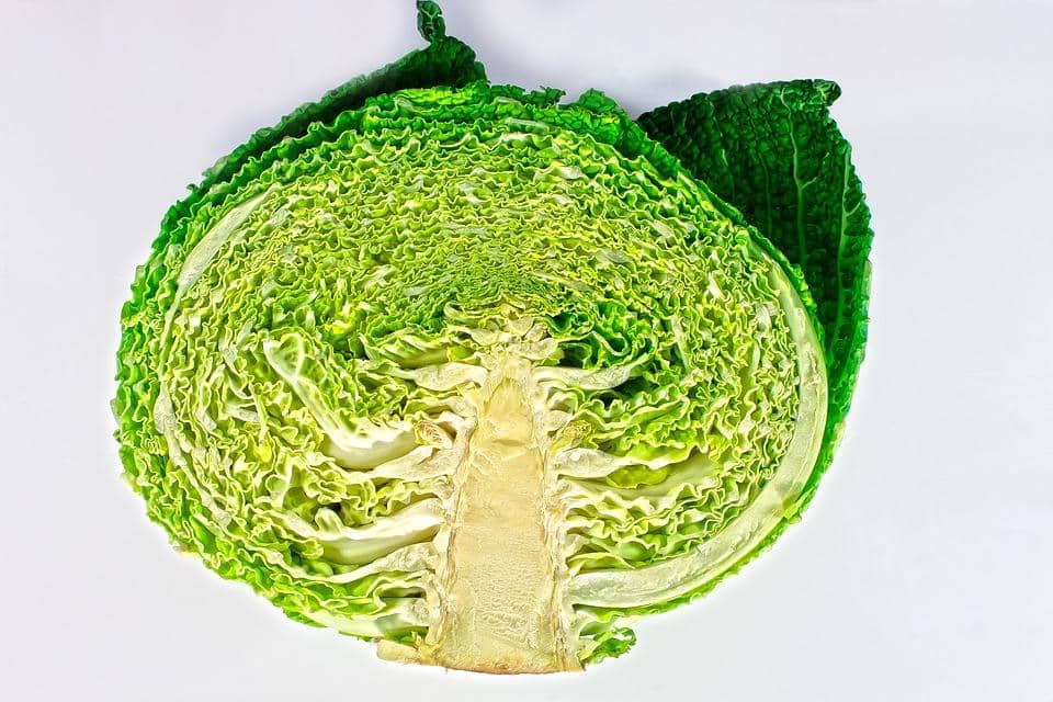 70: Percentage increase of cabbage shipments before the holiday