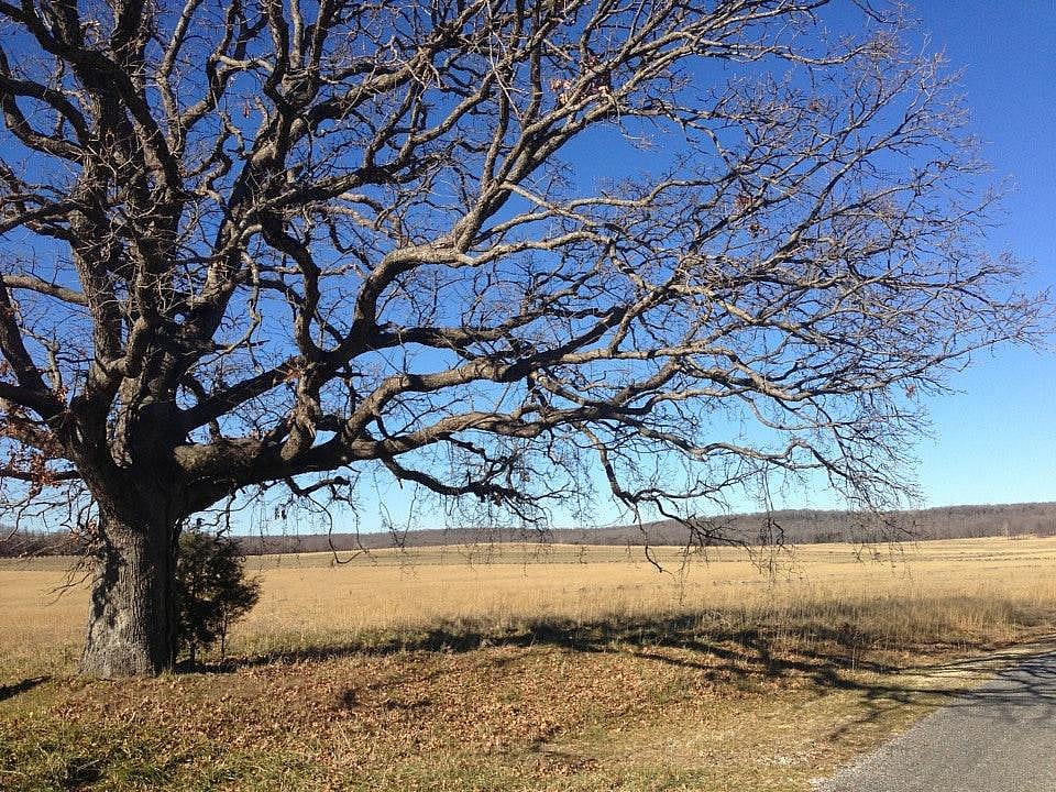 Arkansas: Pea Ridge National Military Park