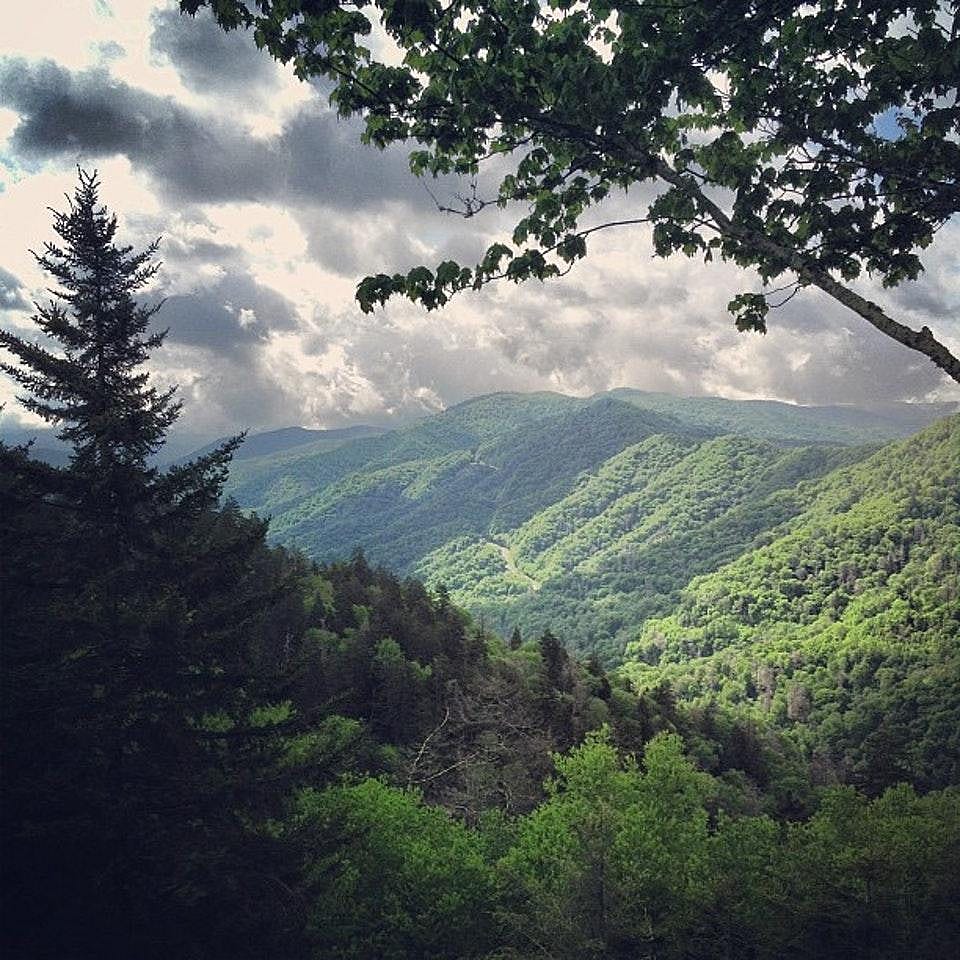 North Carolina: Newfound Gap