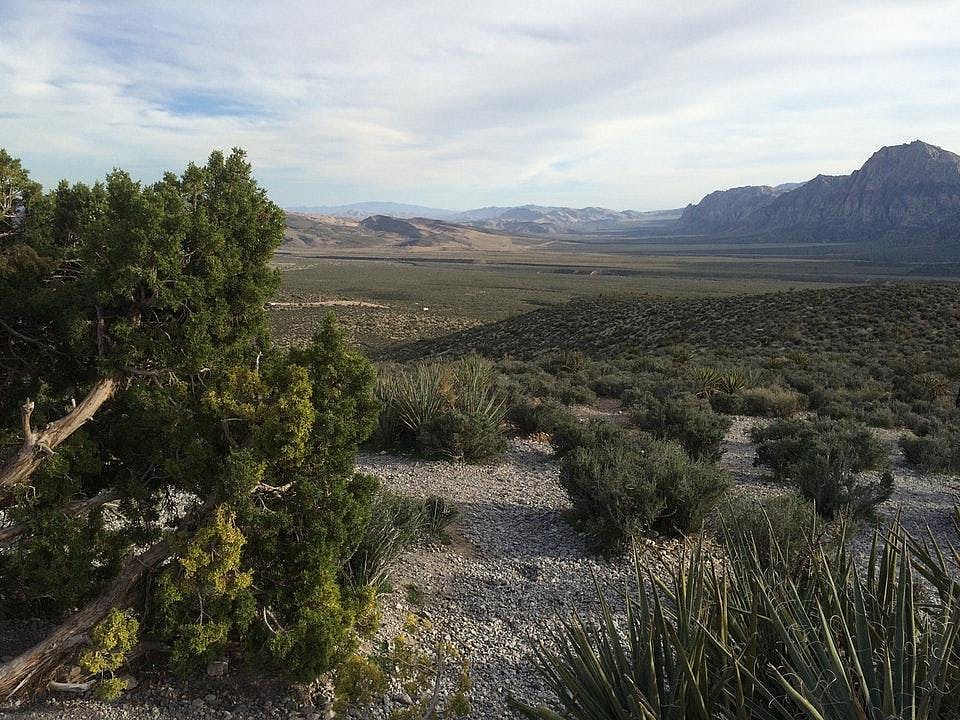 Nevada: High Point Overlook