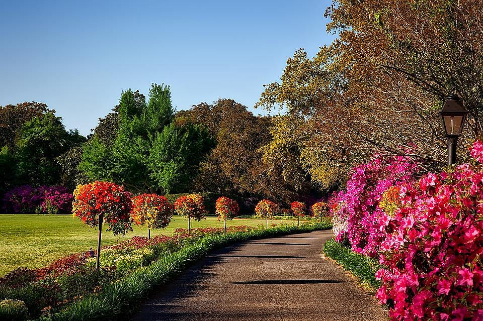 #37. Alabama