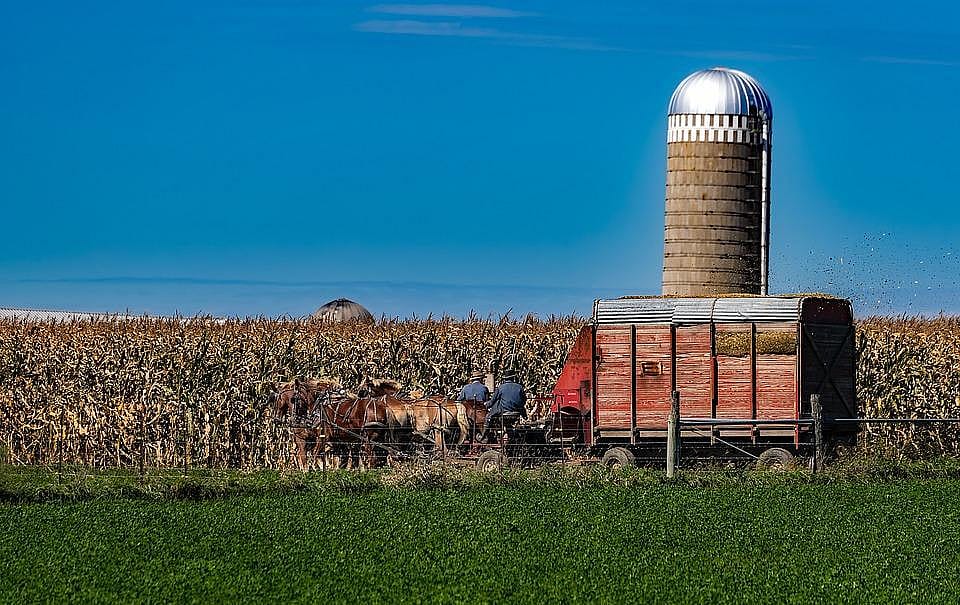 #32. Indiana