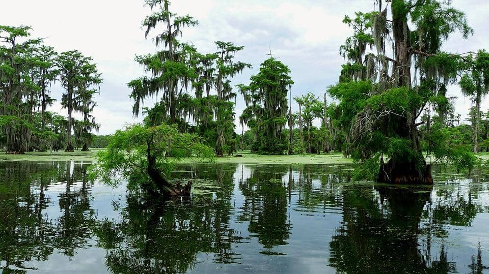 State: Louisiana