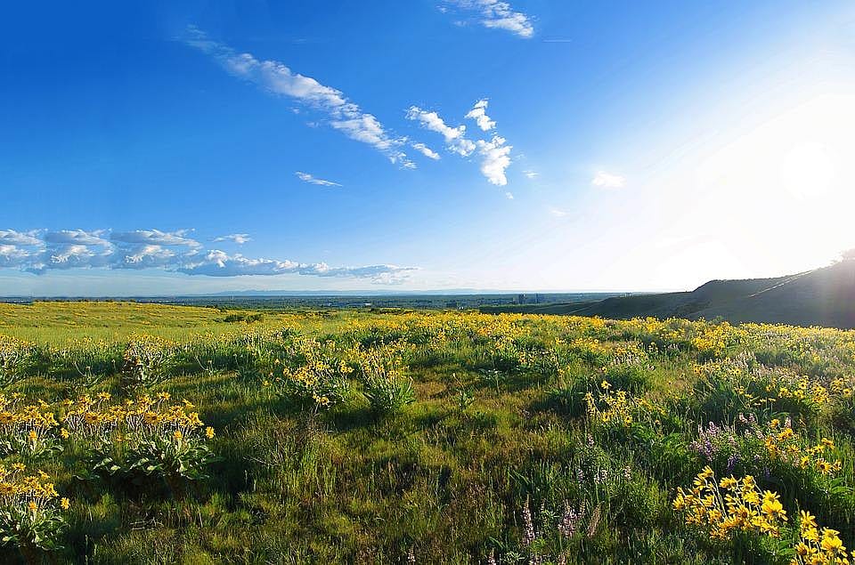 Idaho