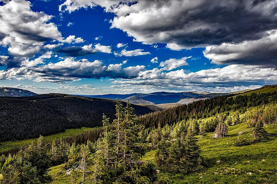#38. Colorado