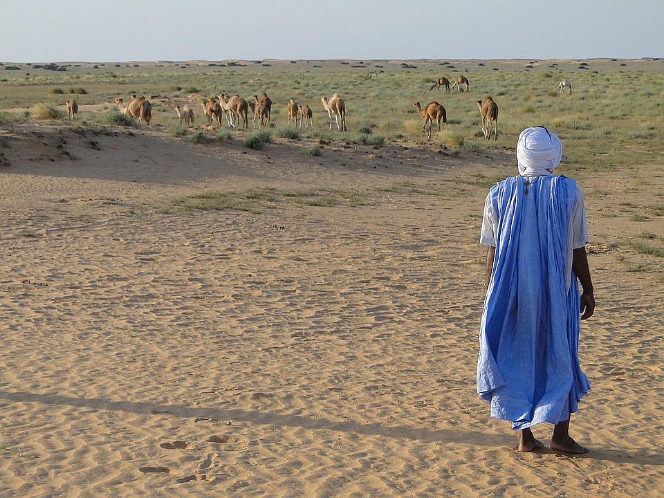 #34. Mauritania