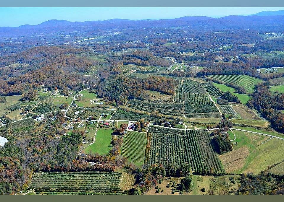 #2. Saint Paul Mountain Vineyards