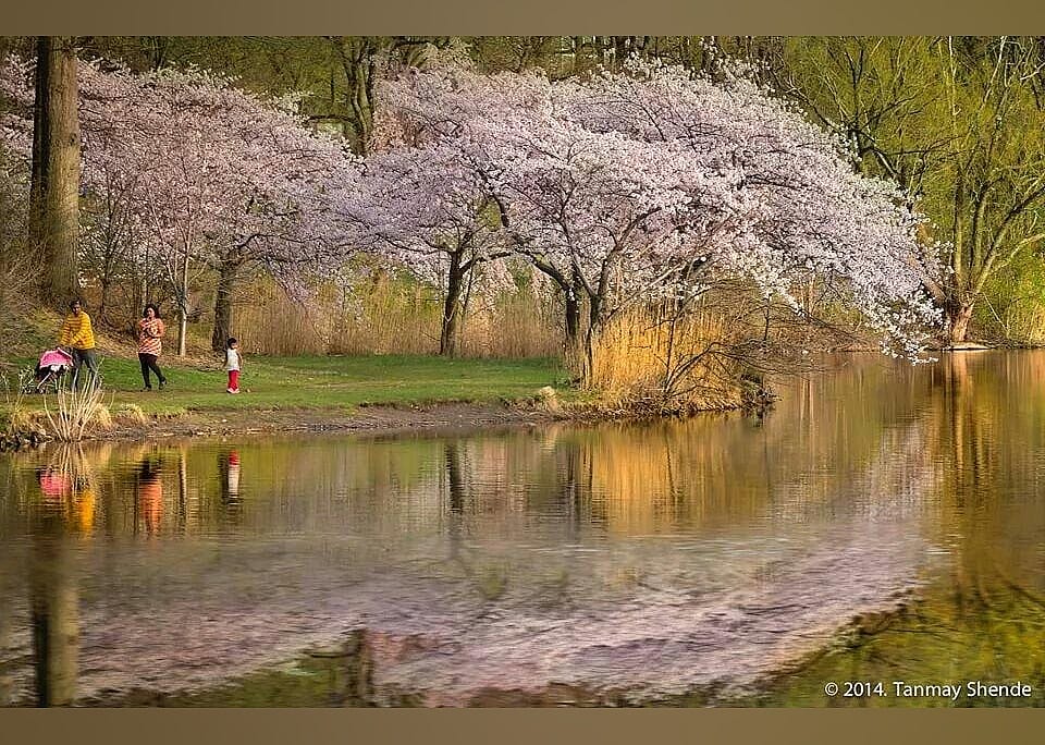 #24. Branch Brook Park