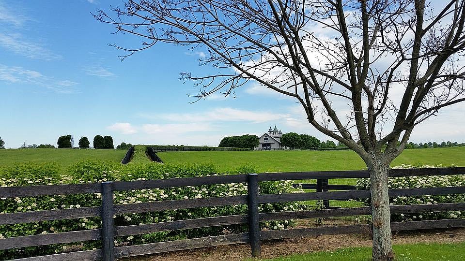 #15. Kentucky