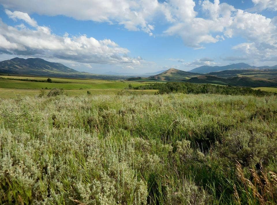 State: Idaho
