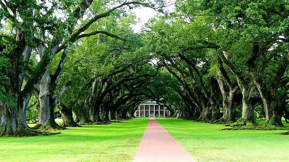 #18. Louisiana
