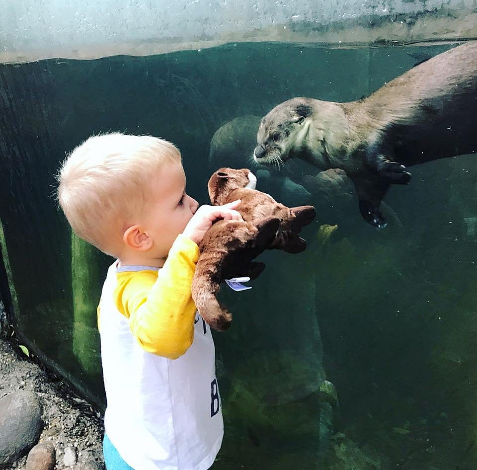 #4. Palm Beach Zoo & Conservation Society