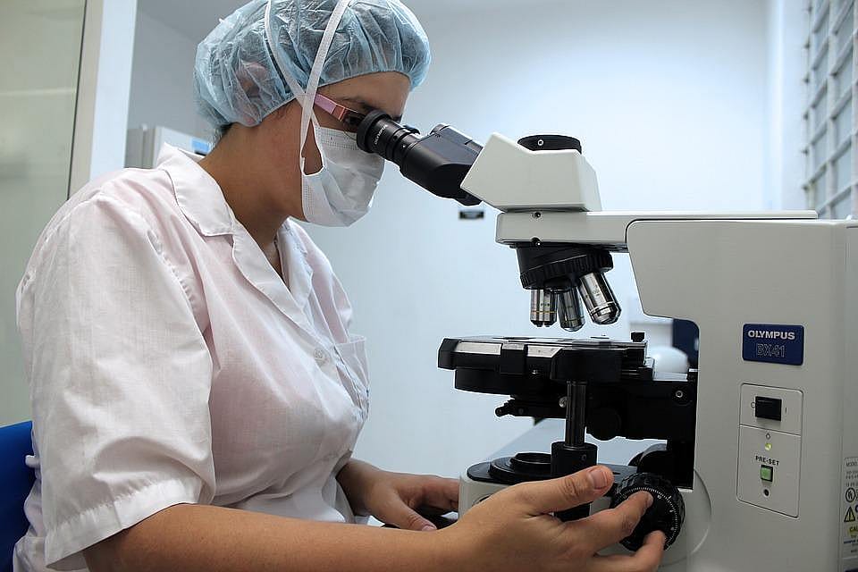 #60: Veterinary technologists and technicians