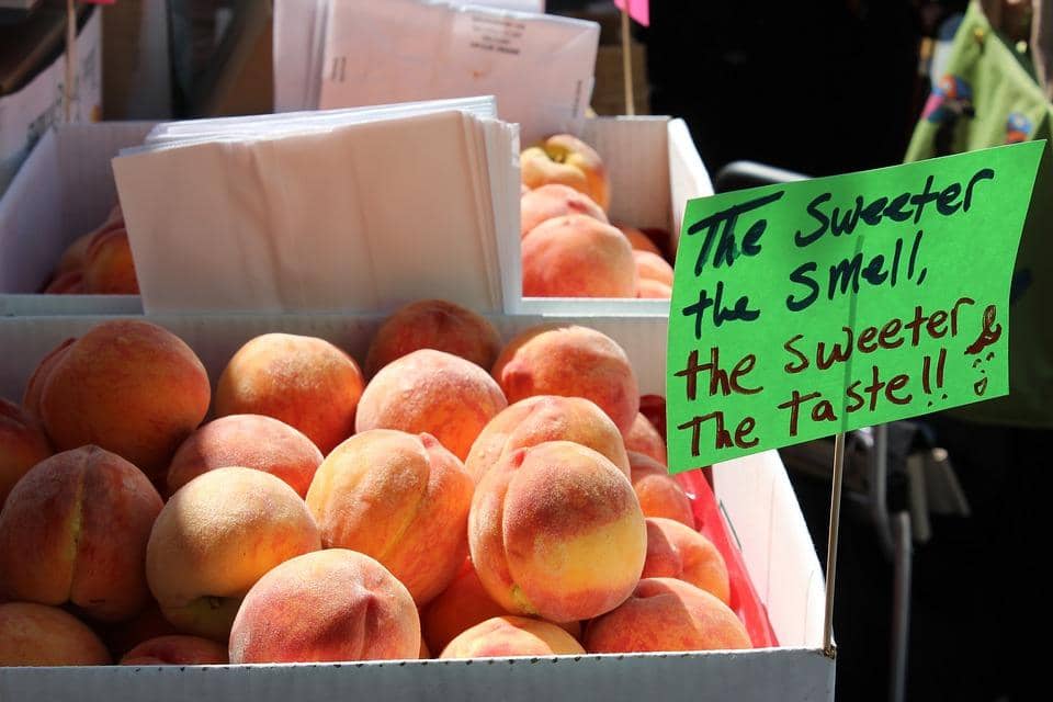 Nickname: The Peach State