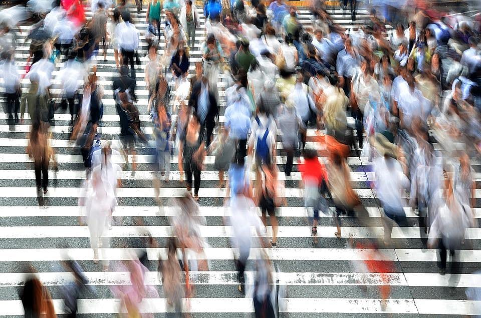 Population proportion