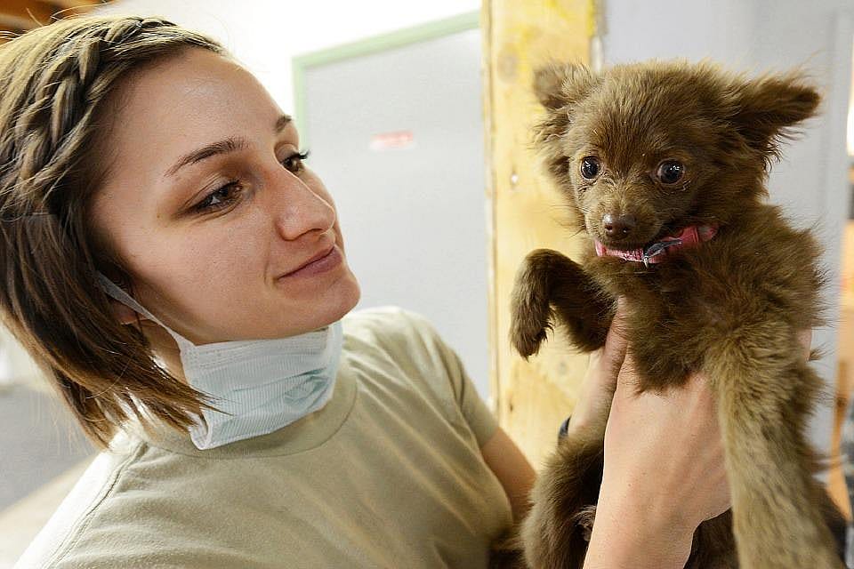 #71: Veterinary assistants and laboratory animal caretakers