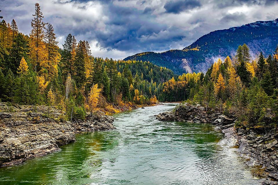 #41. Montana