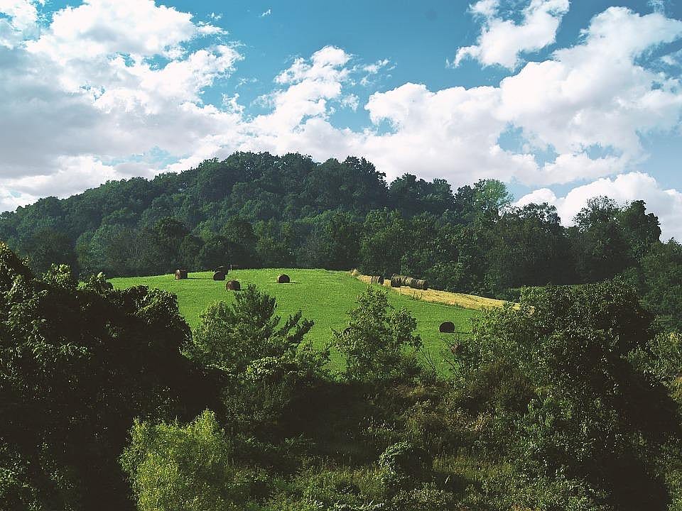 #42. Kentucky