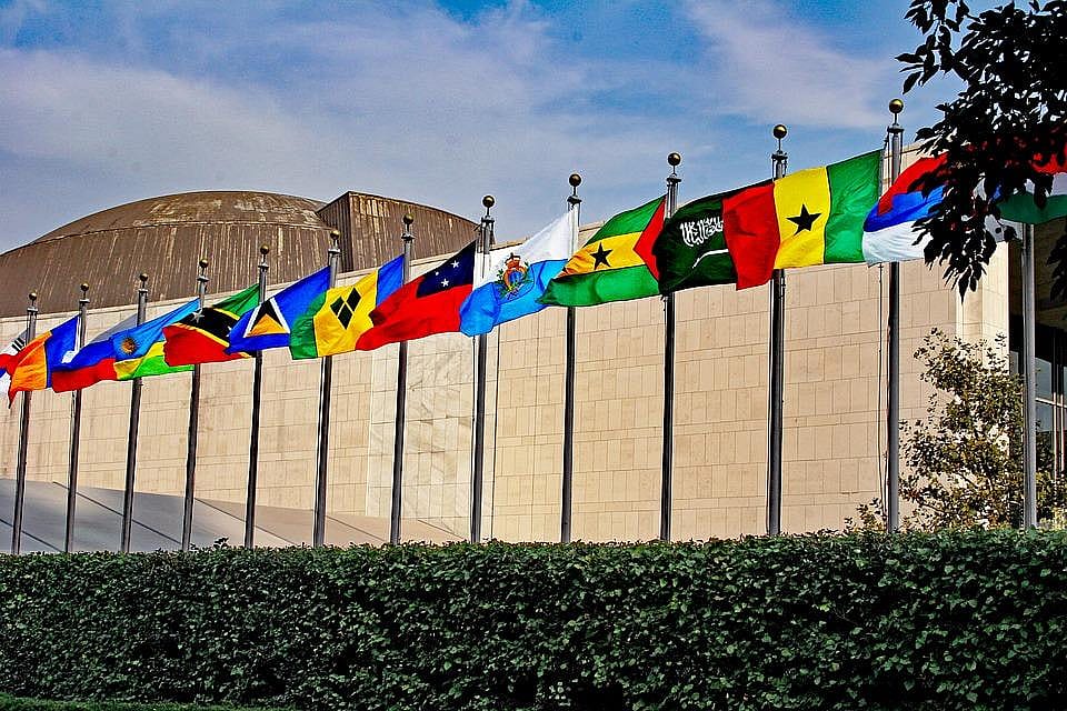 #50. International affairs