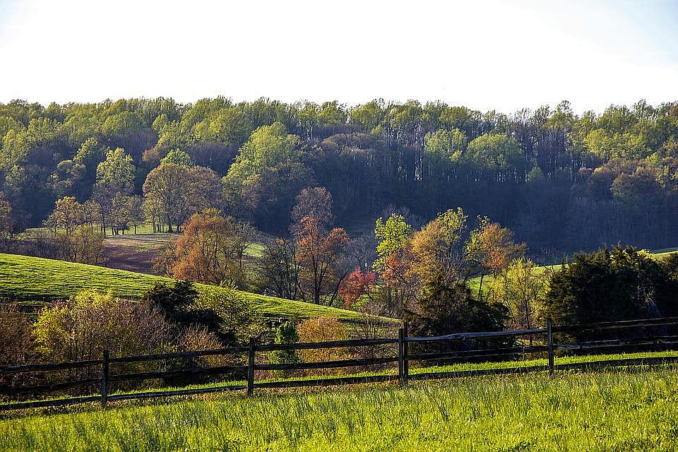 #24. Virginia