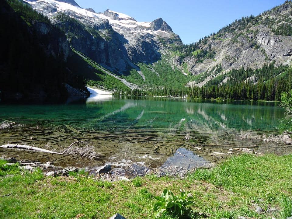 State: Washington