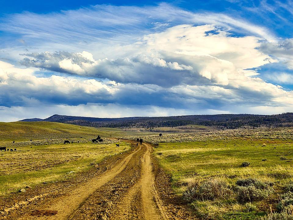 #26. Wyoming