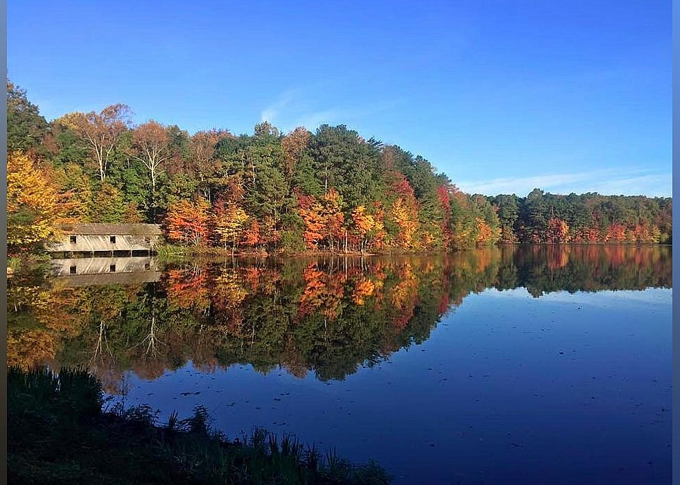 #10. Madison County Nature Trail-Green Mountain