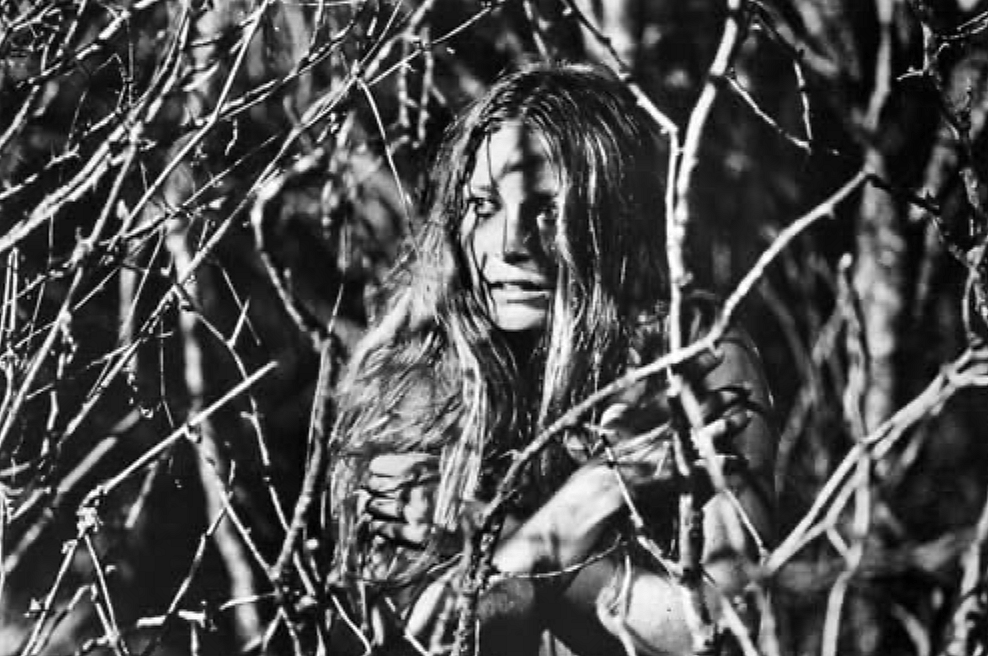 #41. The Texas Chain Saw Massacre (1974)