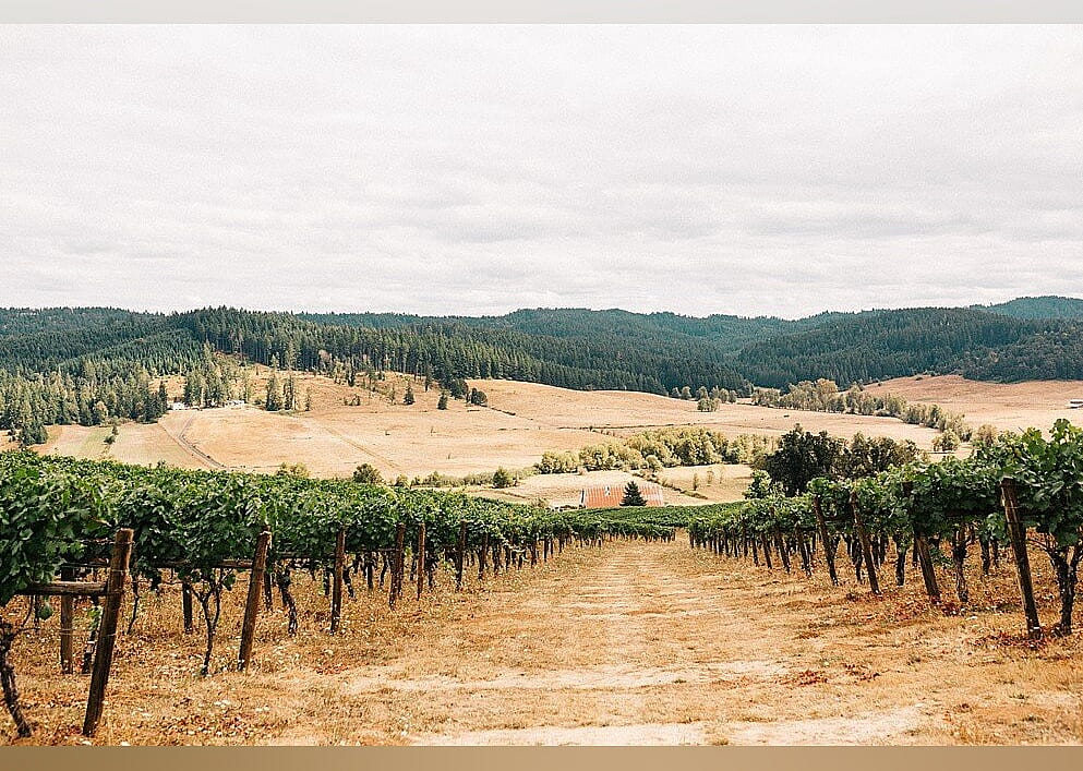 #14. Sweet Cheeks Winery